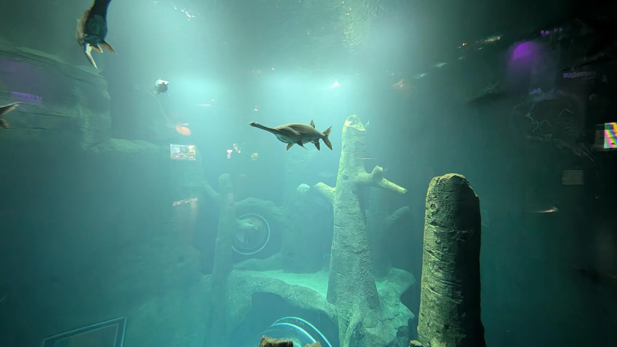 atlantis